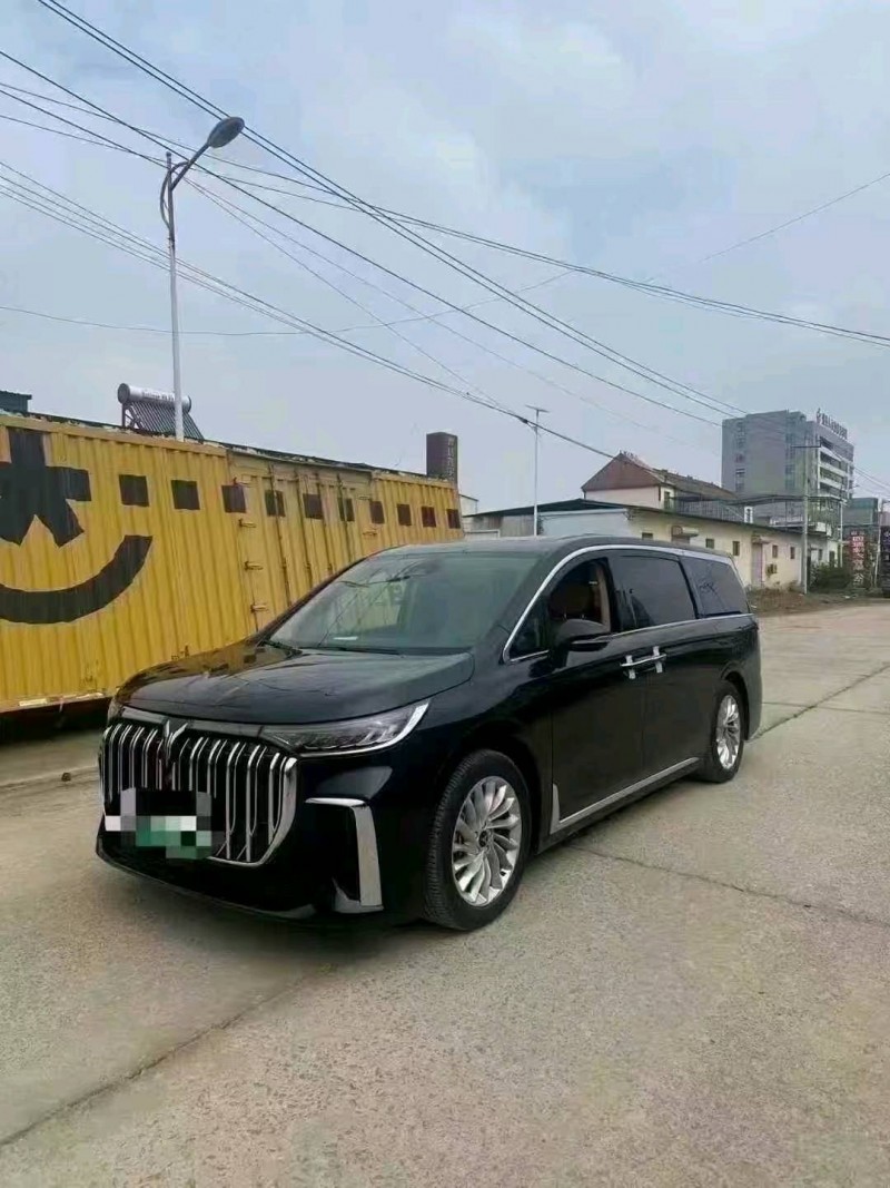 菏泽24年岚图汽车梦想家2