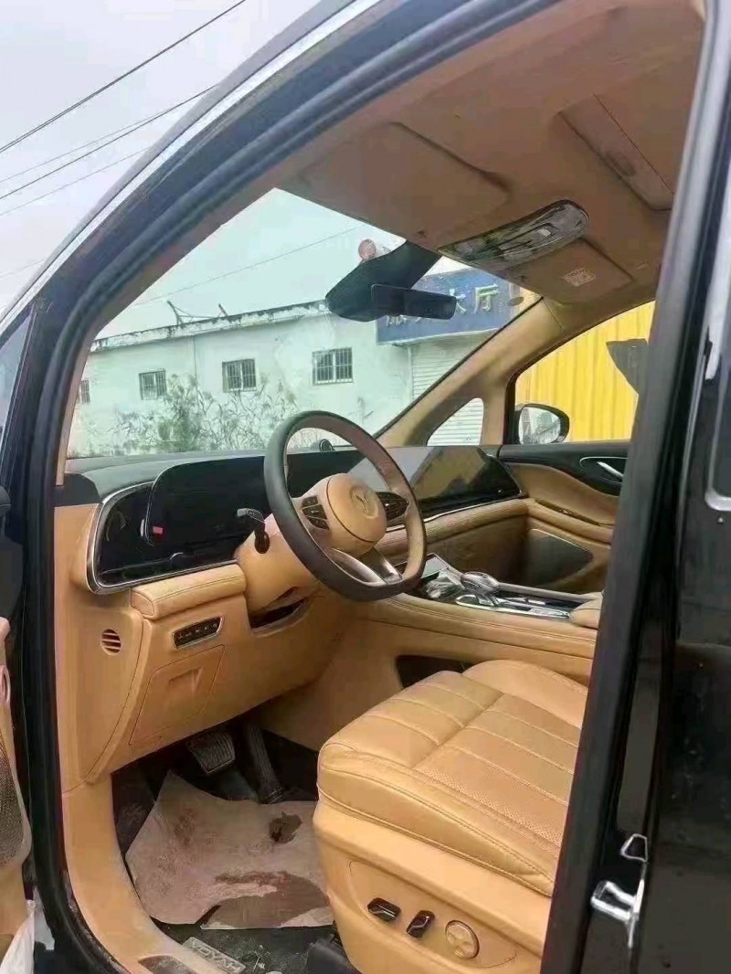 菏泽24年岚图汽车梦想家6