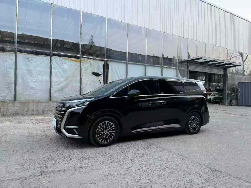 徐州24年腾势D92