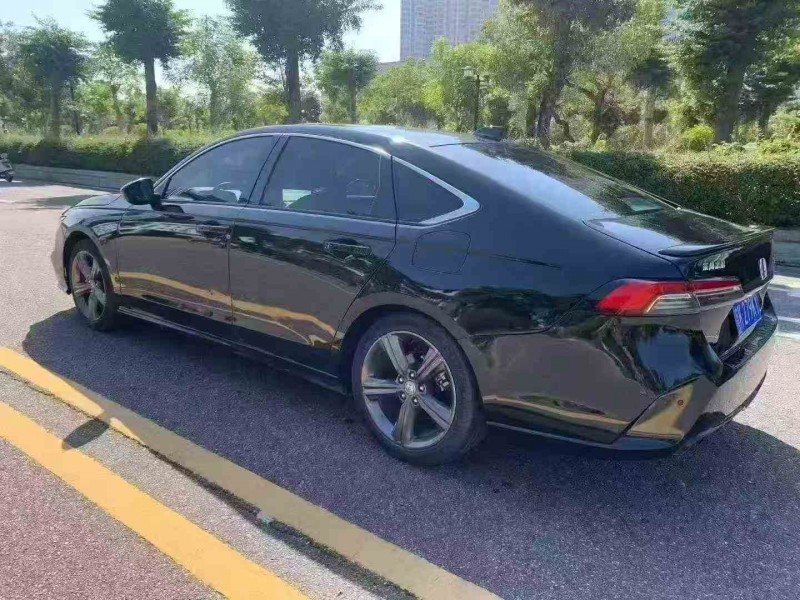 湛江24年本田英诗派7