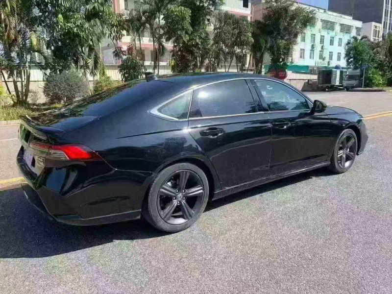 湛江24年本田英诗派8