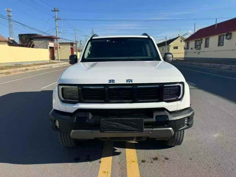 东营25年北京BJ401