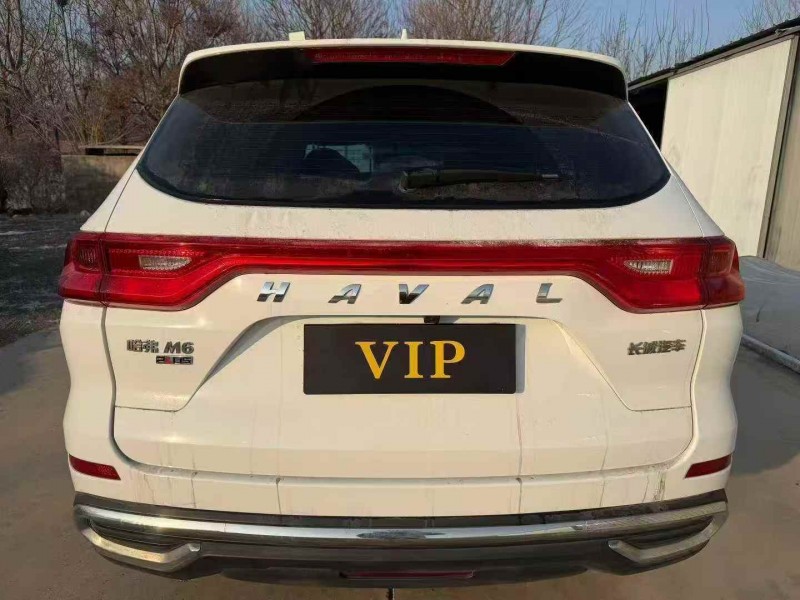 菏泽24年哈弗M69