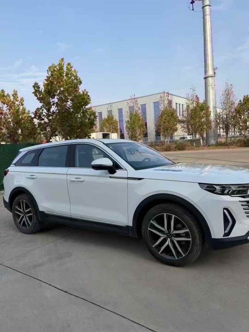 枣庄24年奔腾T993