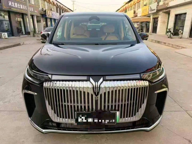 张家口25年岚图汽车梦想家1