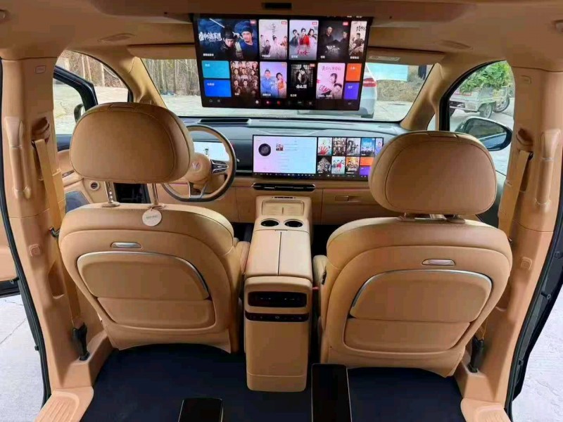 张家口25年岚图汽车梦想家4