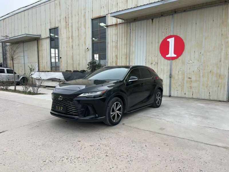 徐州24年雷克萨斯RX2