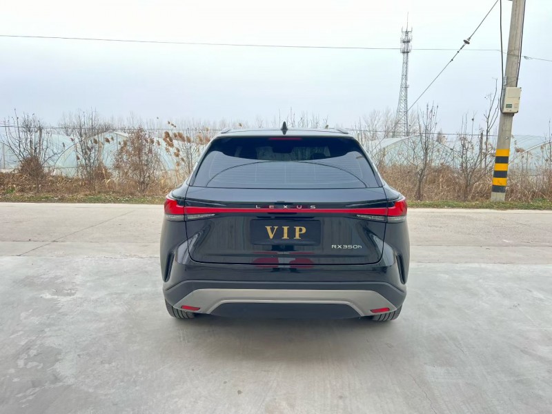 徐州24年雷克萨斯RX9