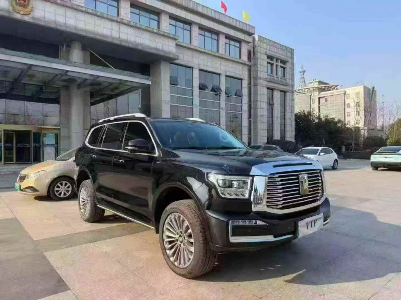 枣庄24年长城汽车坦克2