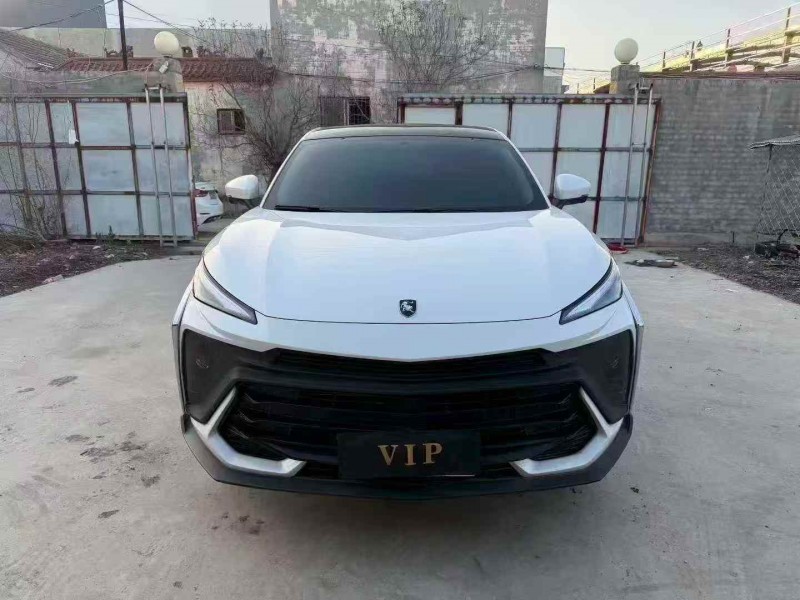 济宁24年东风风行1