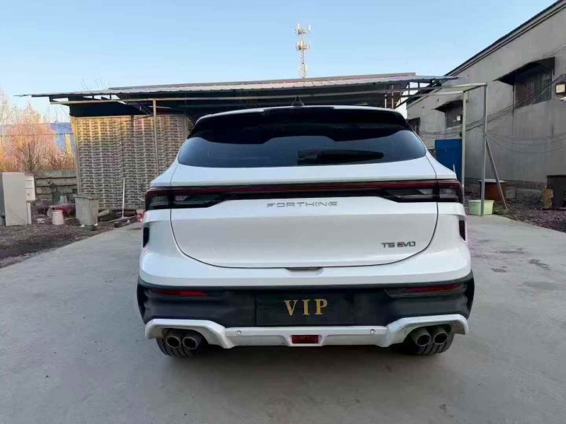 济宁24年东风风行9