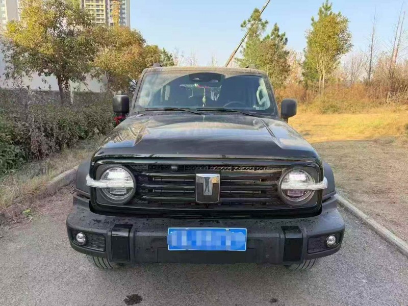 荆门24年长城汽车坦克1