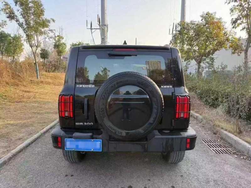 荆门24年长城汽车坦克9