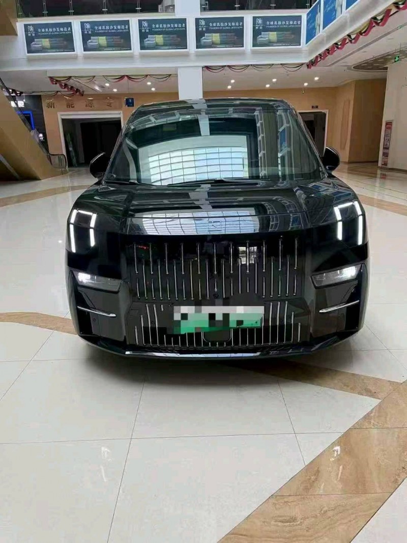 蚌埠23年极氪汽车0091