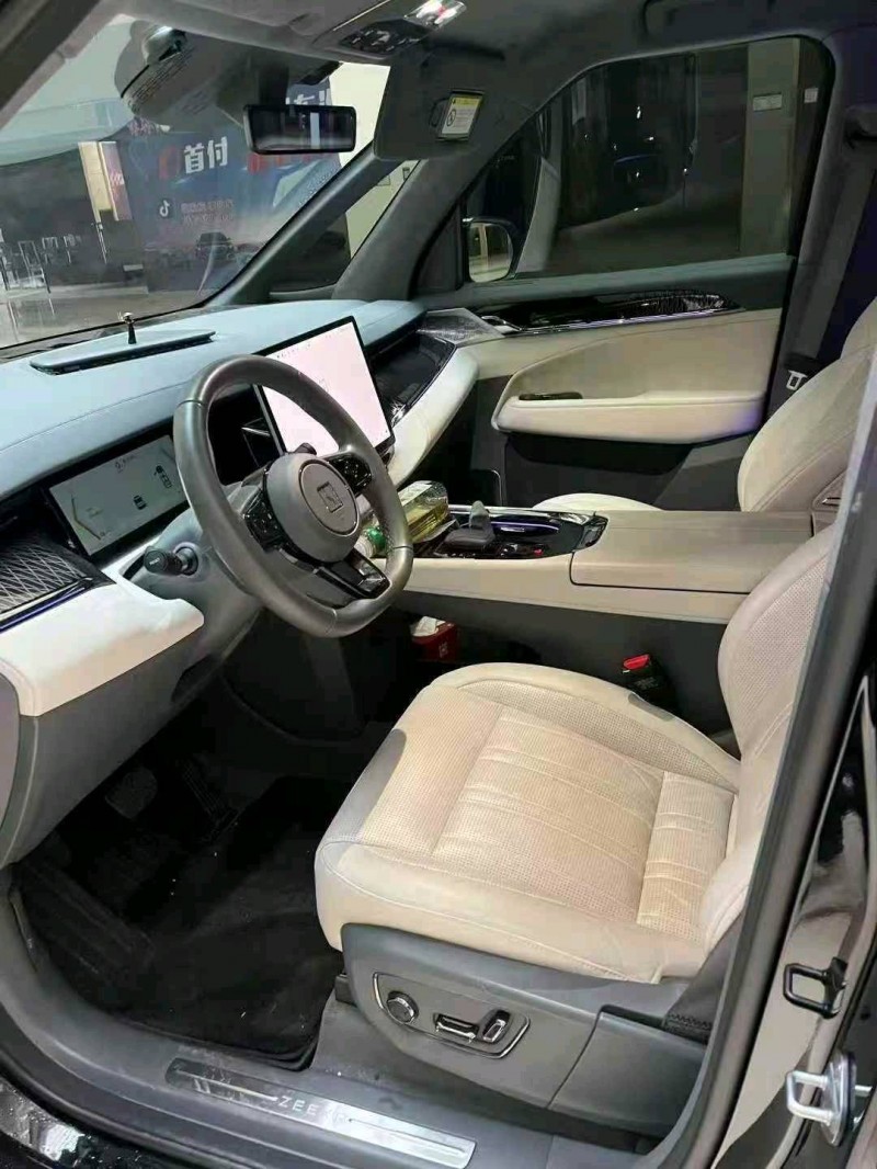 蚌埠23年极氪汽车0095