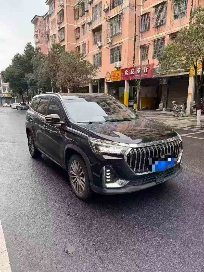 邵阳25年奇瑞捷途2