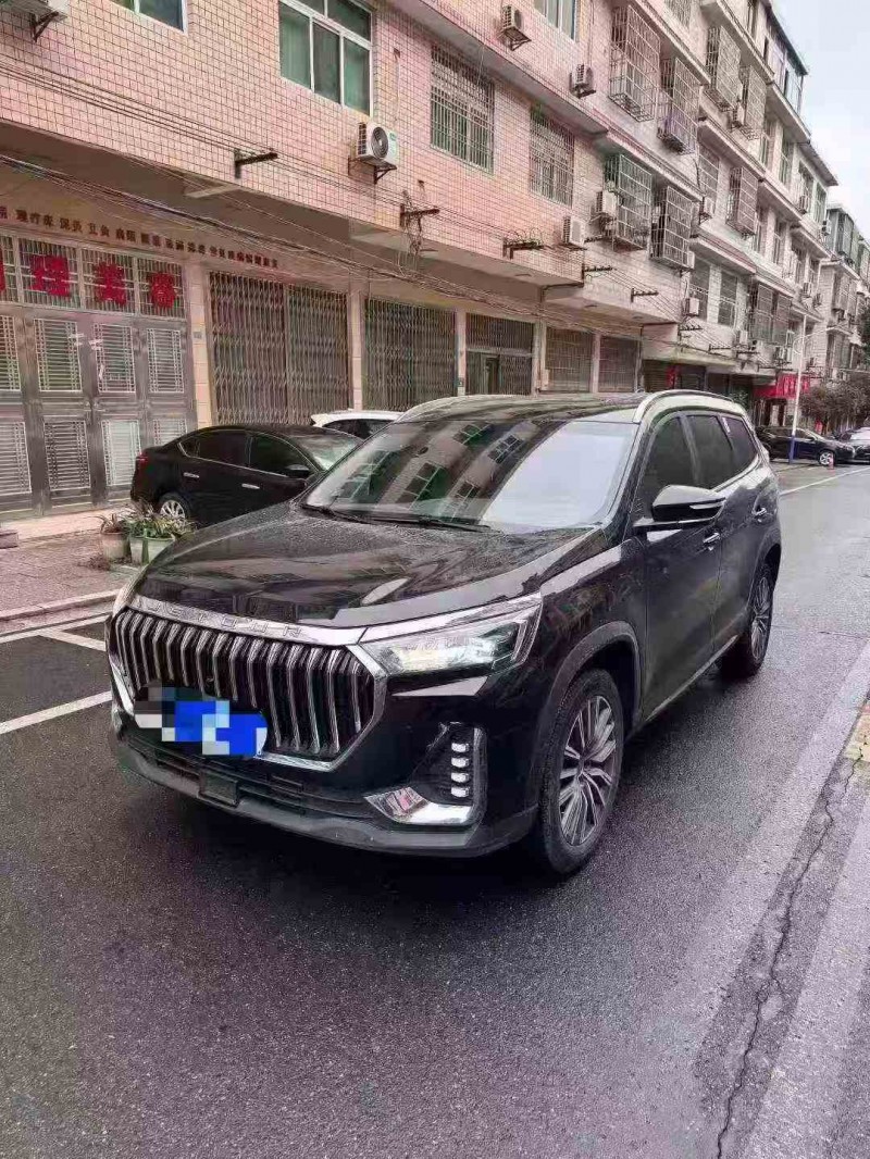 邵阳25年奇瑞捷途3