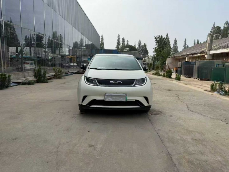徐州23年比亚迪海豚1