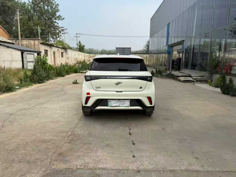 徐州23年比亚迪海豚9