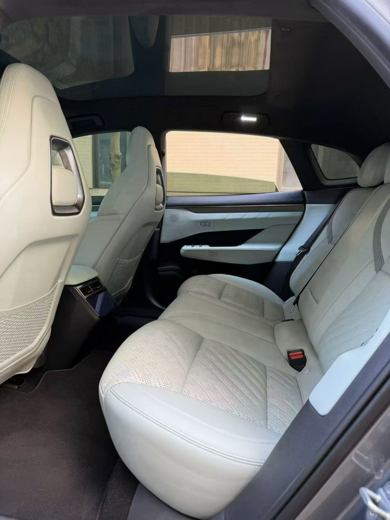 佛山24年极氪汽车0019