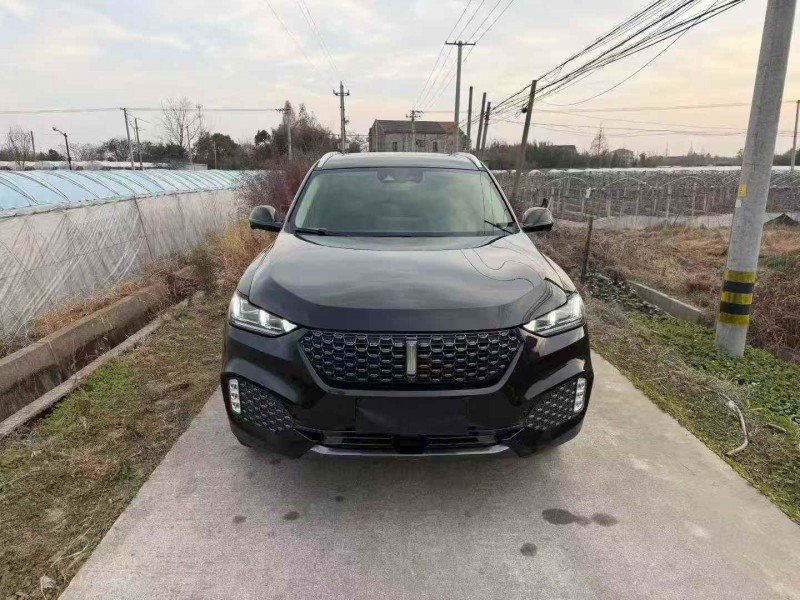 嘉兴20年长城汽车魏牌1