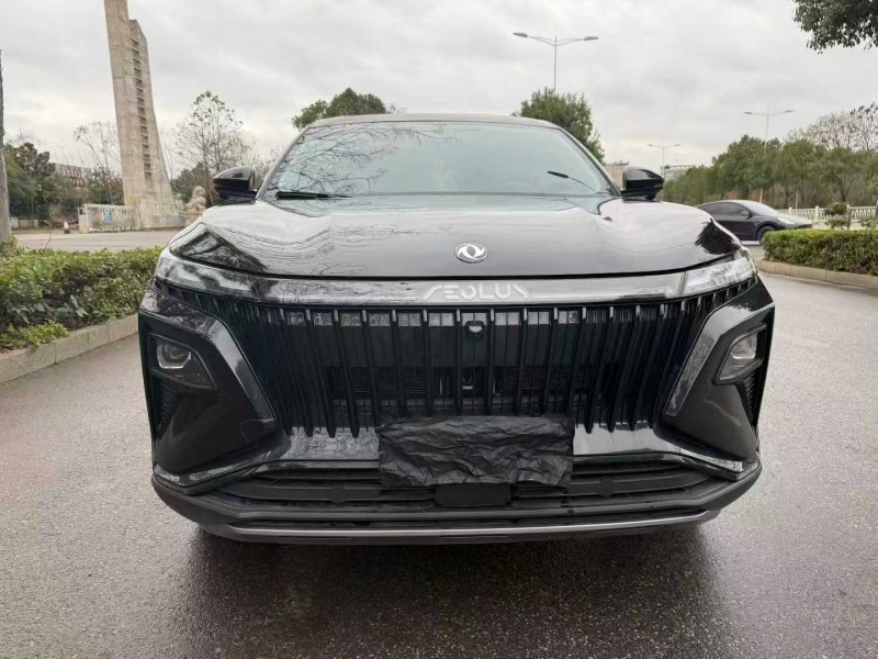 娄底25年东风风神1