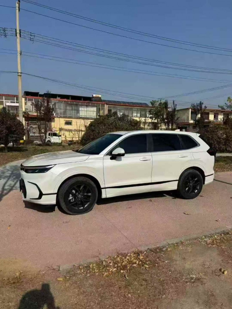 淄博24年本田皓影3