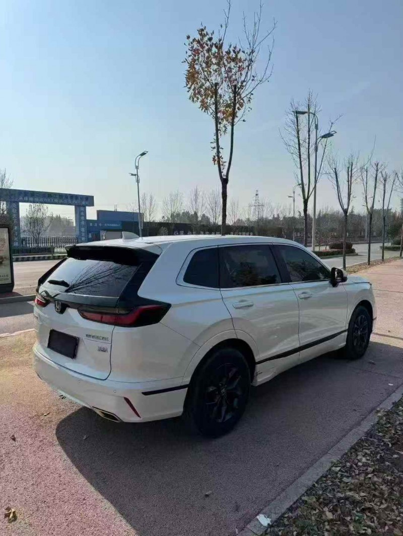 淄博24年本田皓影7