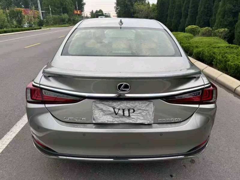 滨州24年雷克萨斯ES5