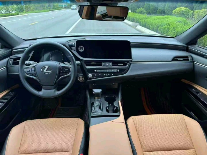 滨州24年雷克萨斯ES7