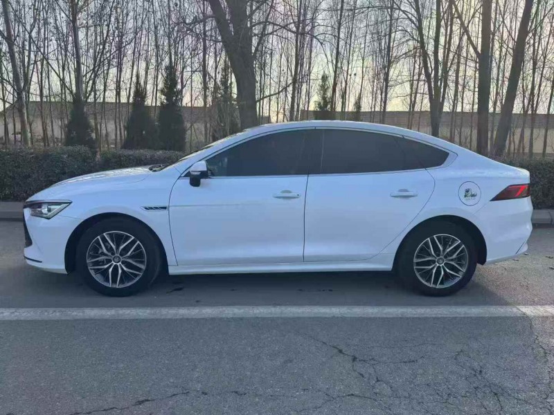 滨州23年比亚迪秦5