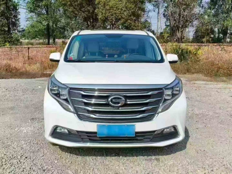 衡阳18年传祺M8/GM81