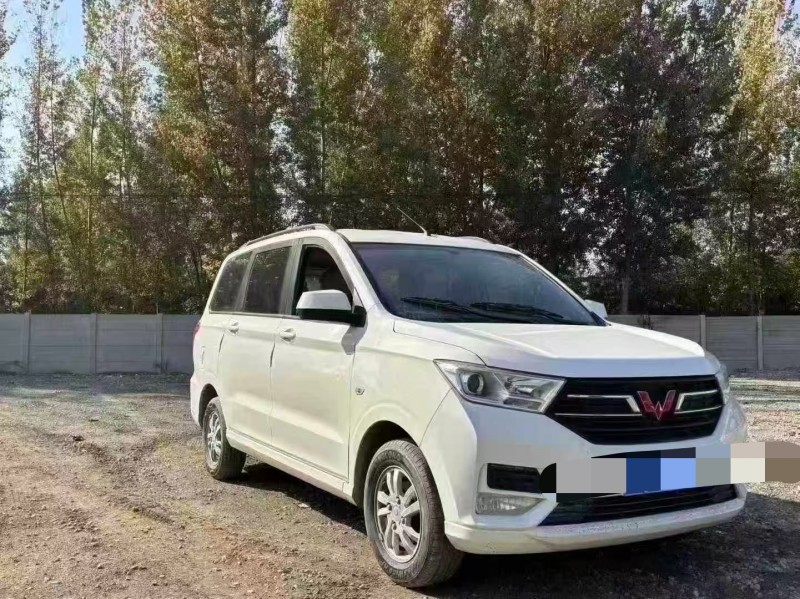 保定22年五菱汽车宏光5