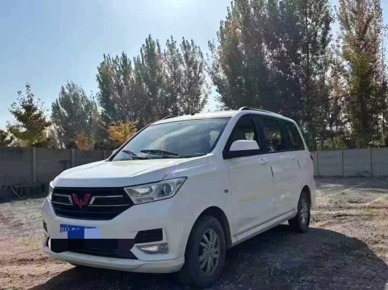 保定22年五菱汽车宏光6