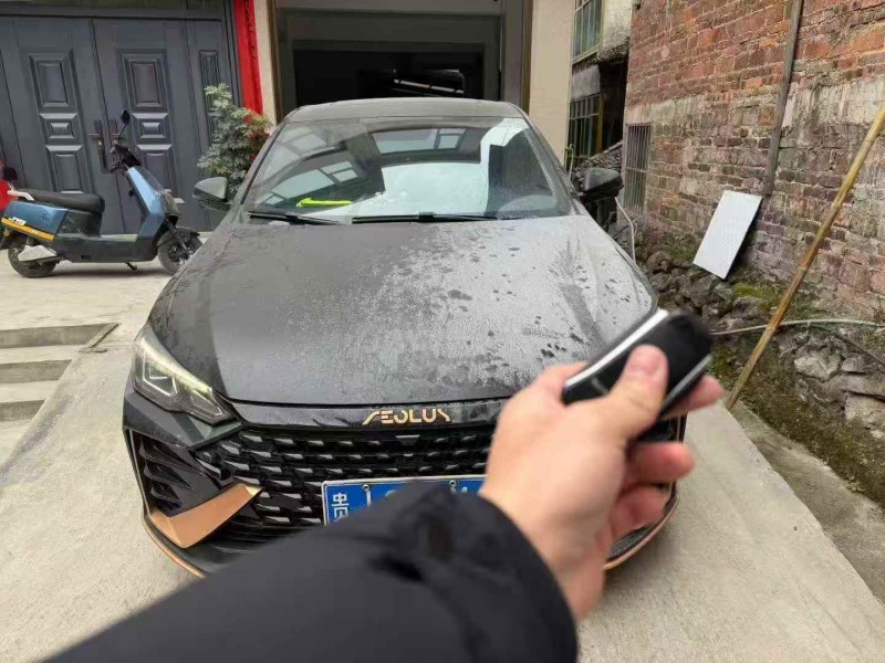 毕节22年东风奕炫1