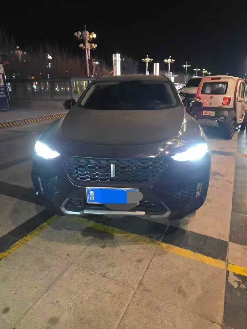 银川19年长城汽车魏牌1