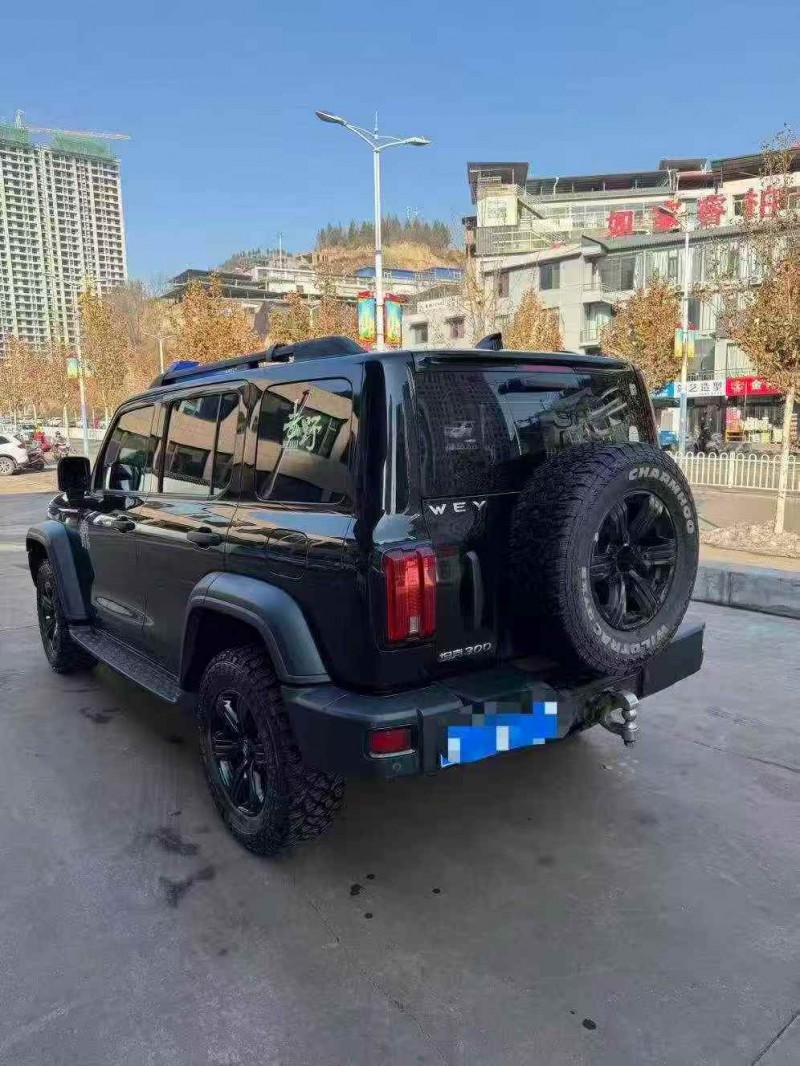 长治21年长城汽车坦克8