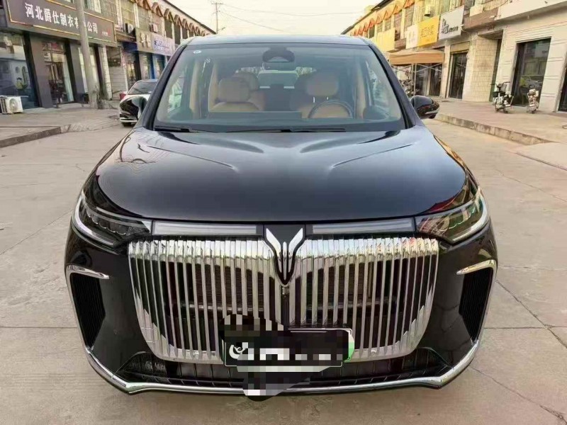 邯郸25年岚图汽车梦想家1