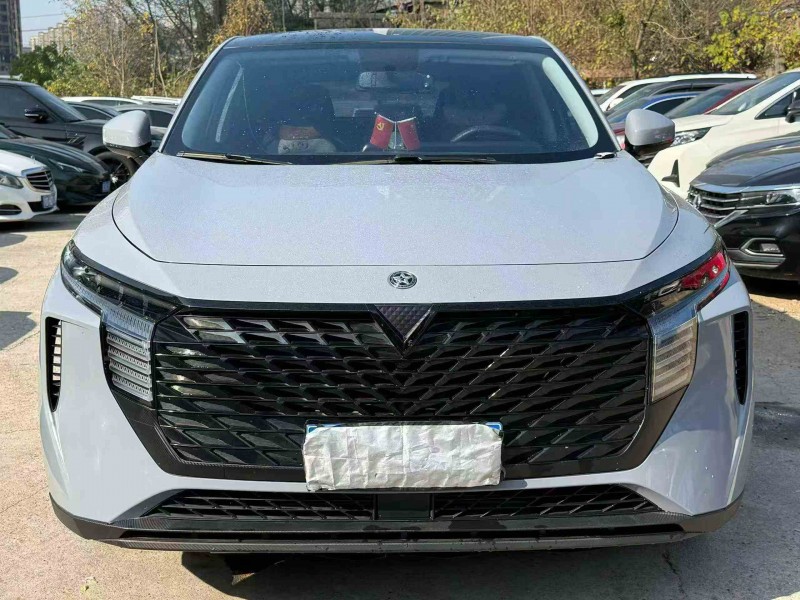 湘潭23年启辰大V1