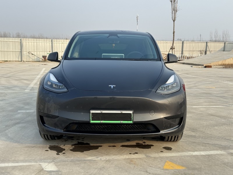 新乡24年特斯拉MODEL Y1