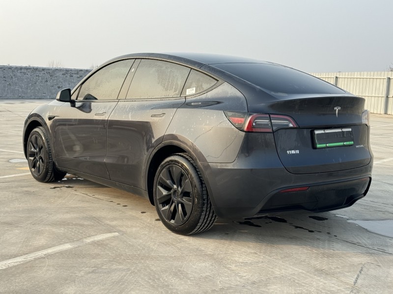 新乡24年特斯拉MODEL Y7
