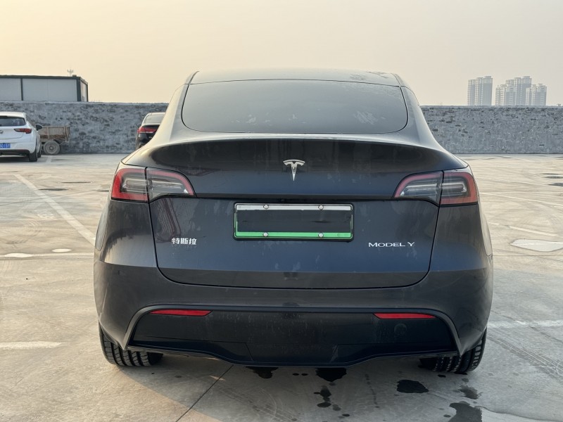 新乡24年特斯拉MODEL Y8