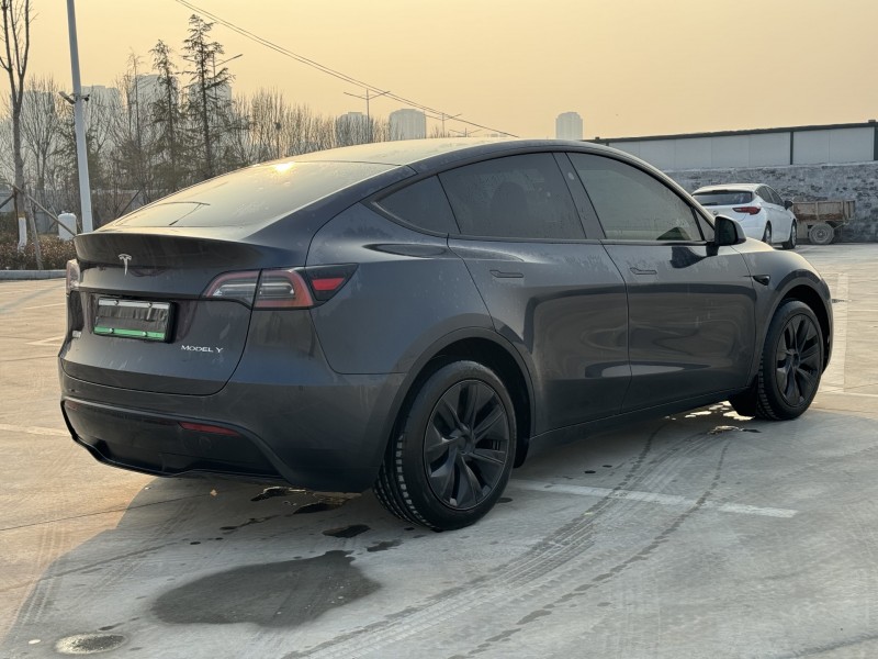 新乡24年特斯拉MODEL Y9