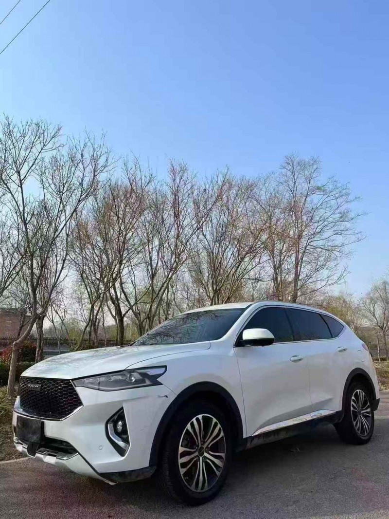 烟台20年哈弗F73