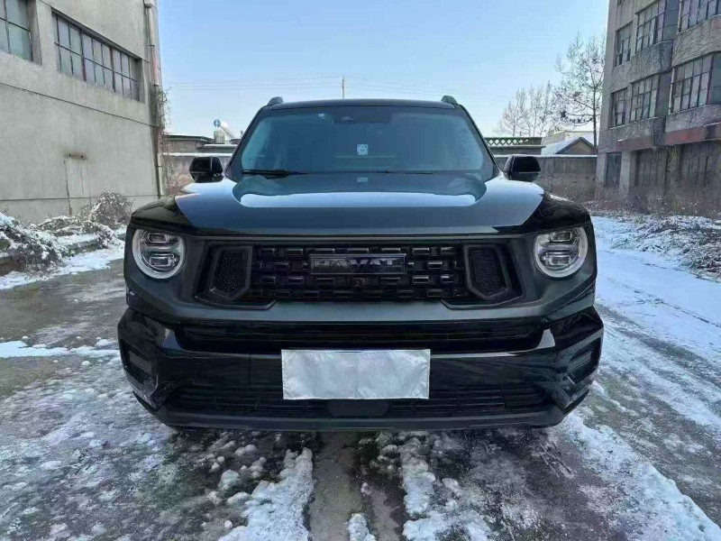 青岛24年哈弗大狗1