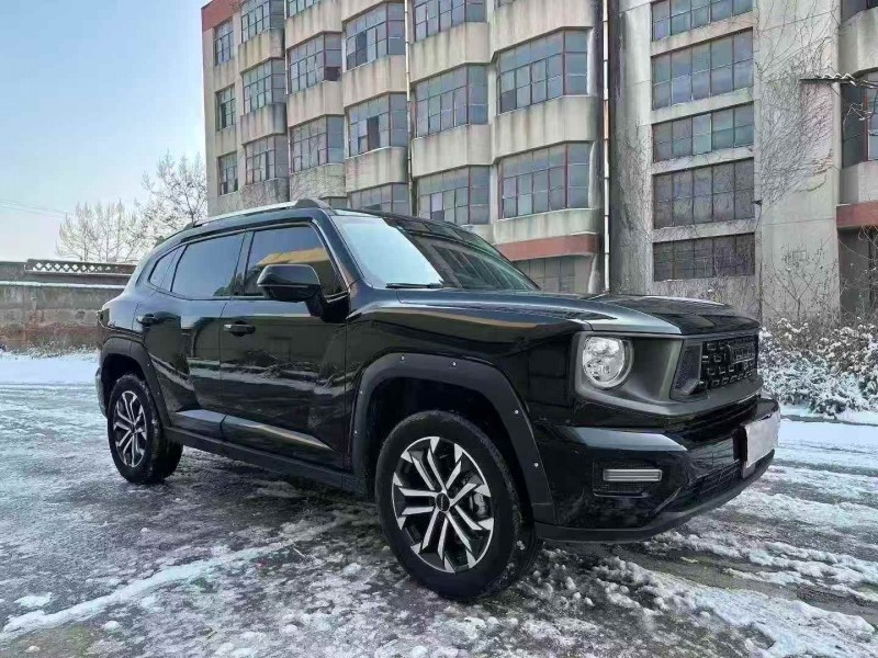 青岛24年哈弗大狗2