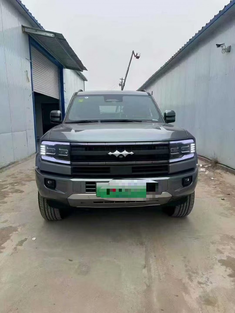 菏泽25年比亚迪方程豹1