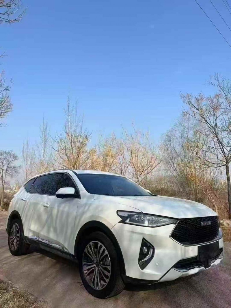 济宁20年哈弗F73