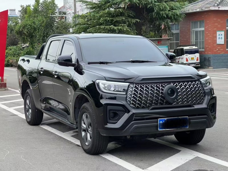 济宁25年长城汽车炮 皮卡3