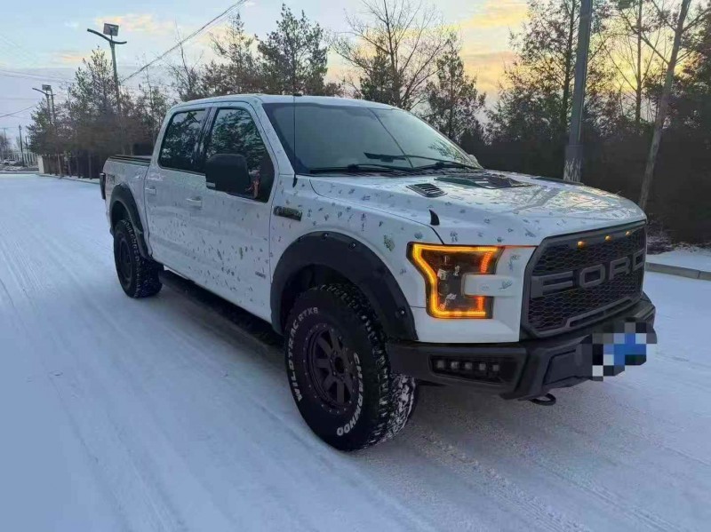 邢台18年福特猛禽3